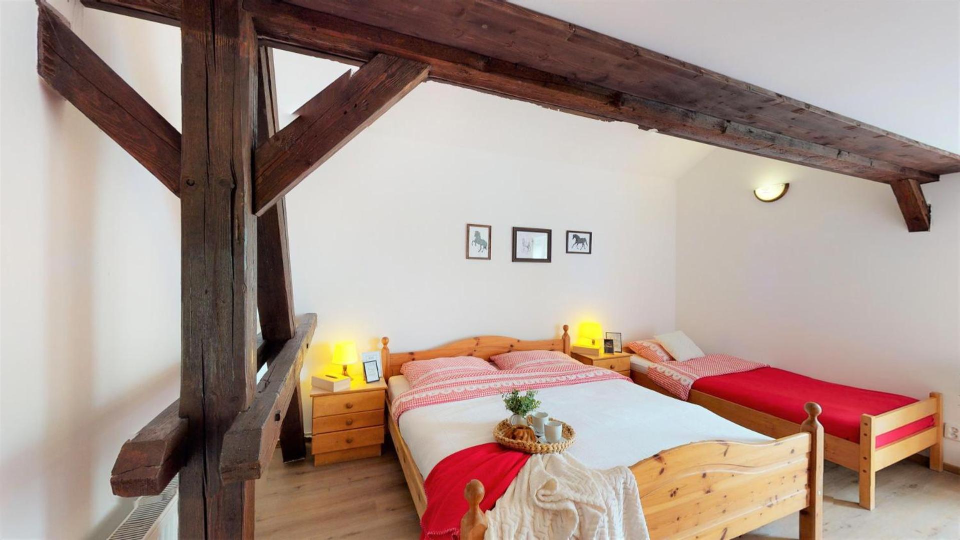 Pension U Sebastiana Hodousice ห้อง รูปภาพ