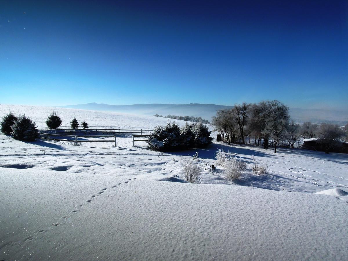 Pension U Sebastiana Hodousice ภายนอก รูปภาพ